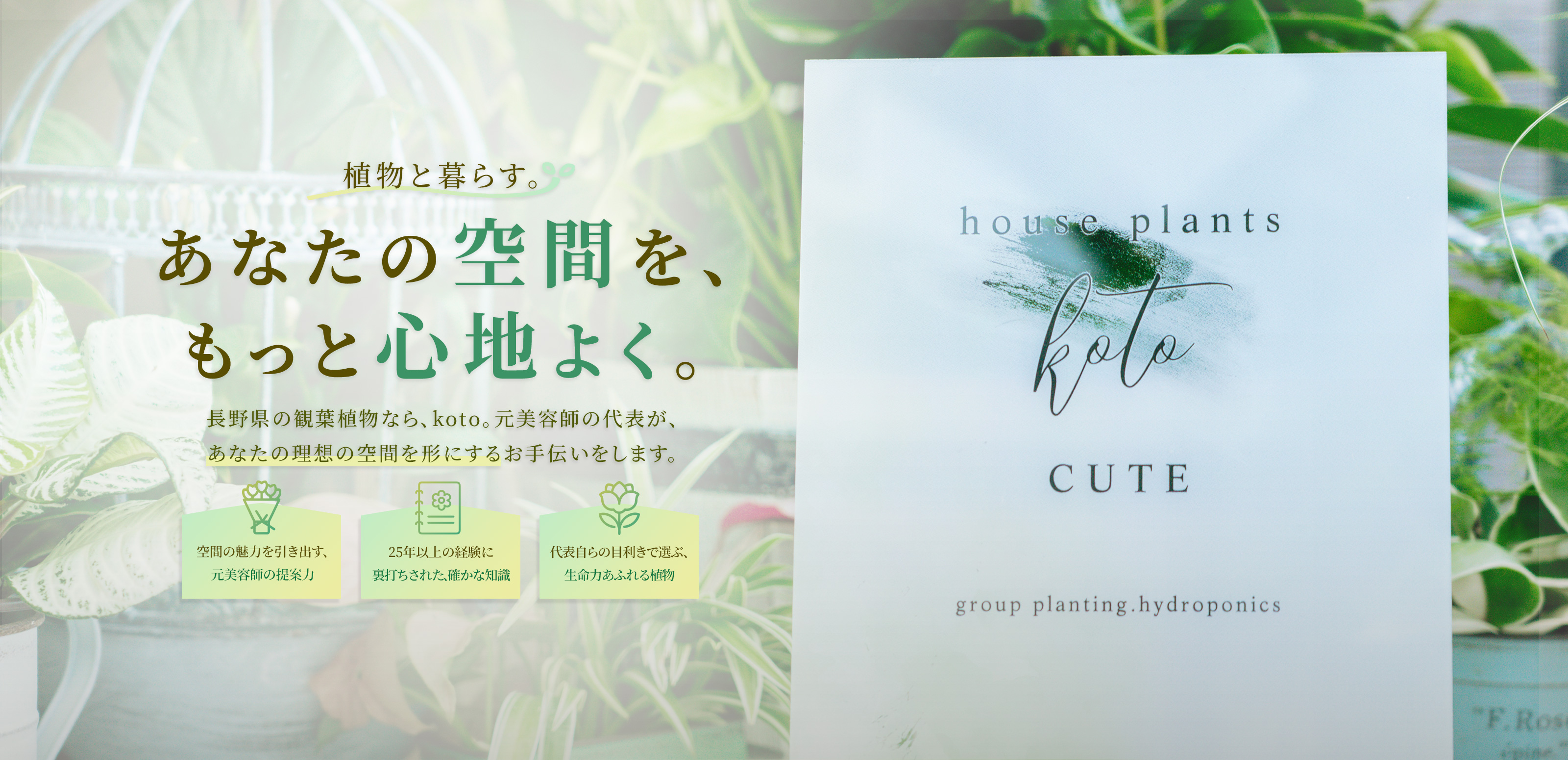 観葉植物専門店 - koto