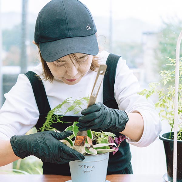 観葉植物専門店 - koto