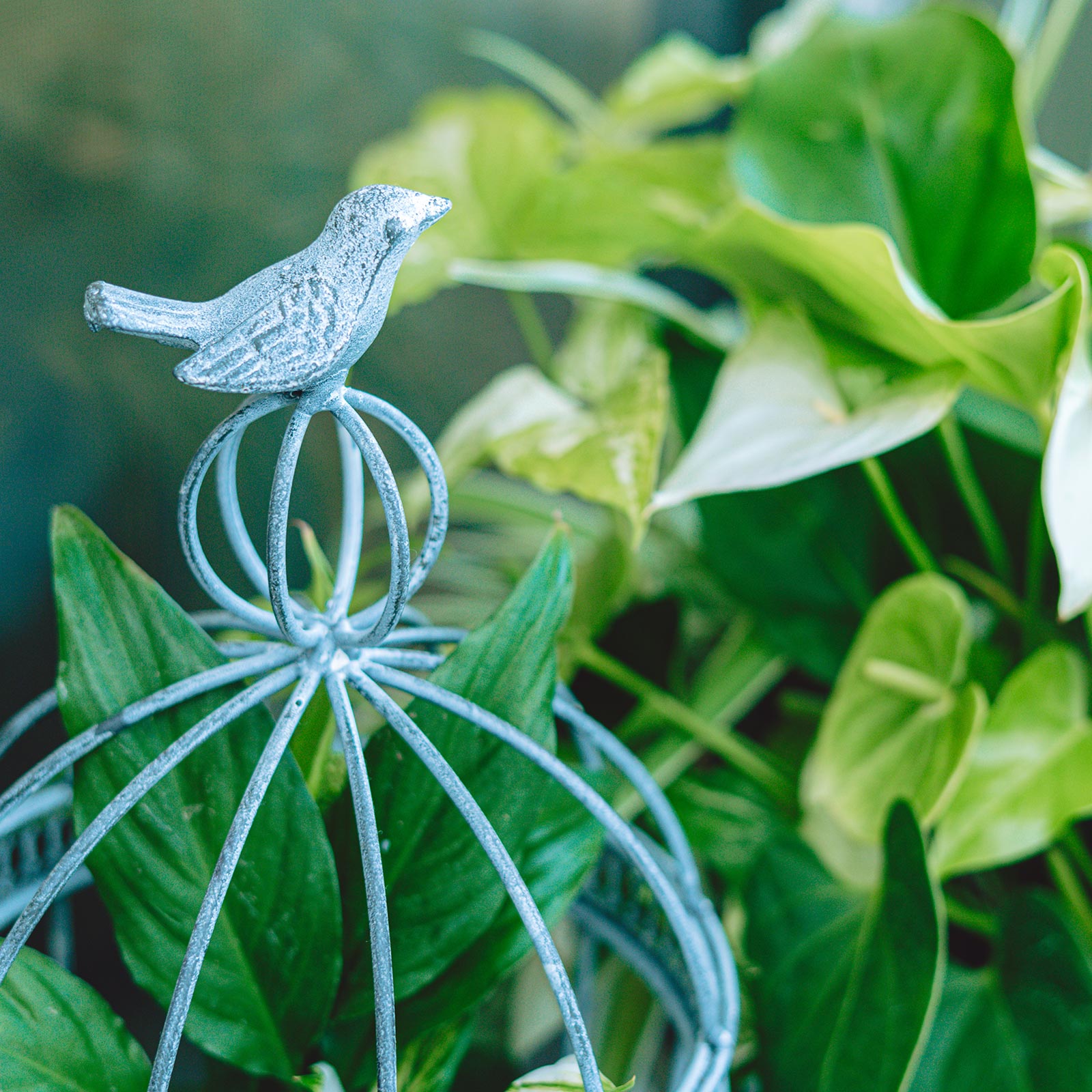 サービス案内 - koto