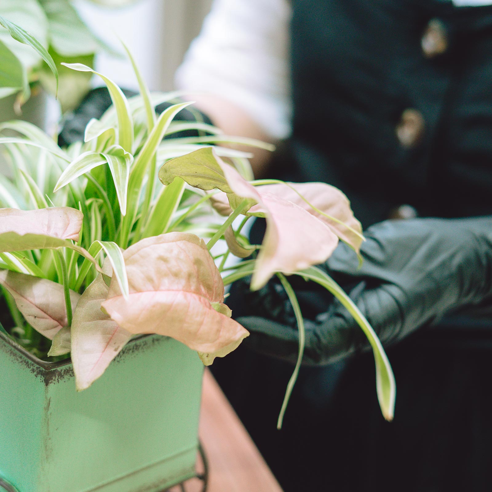 当社について - koto