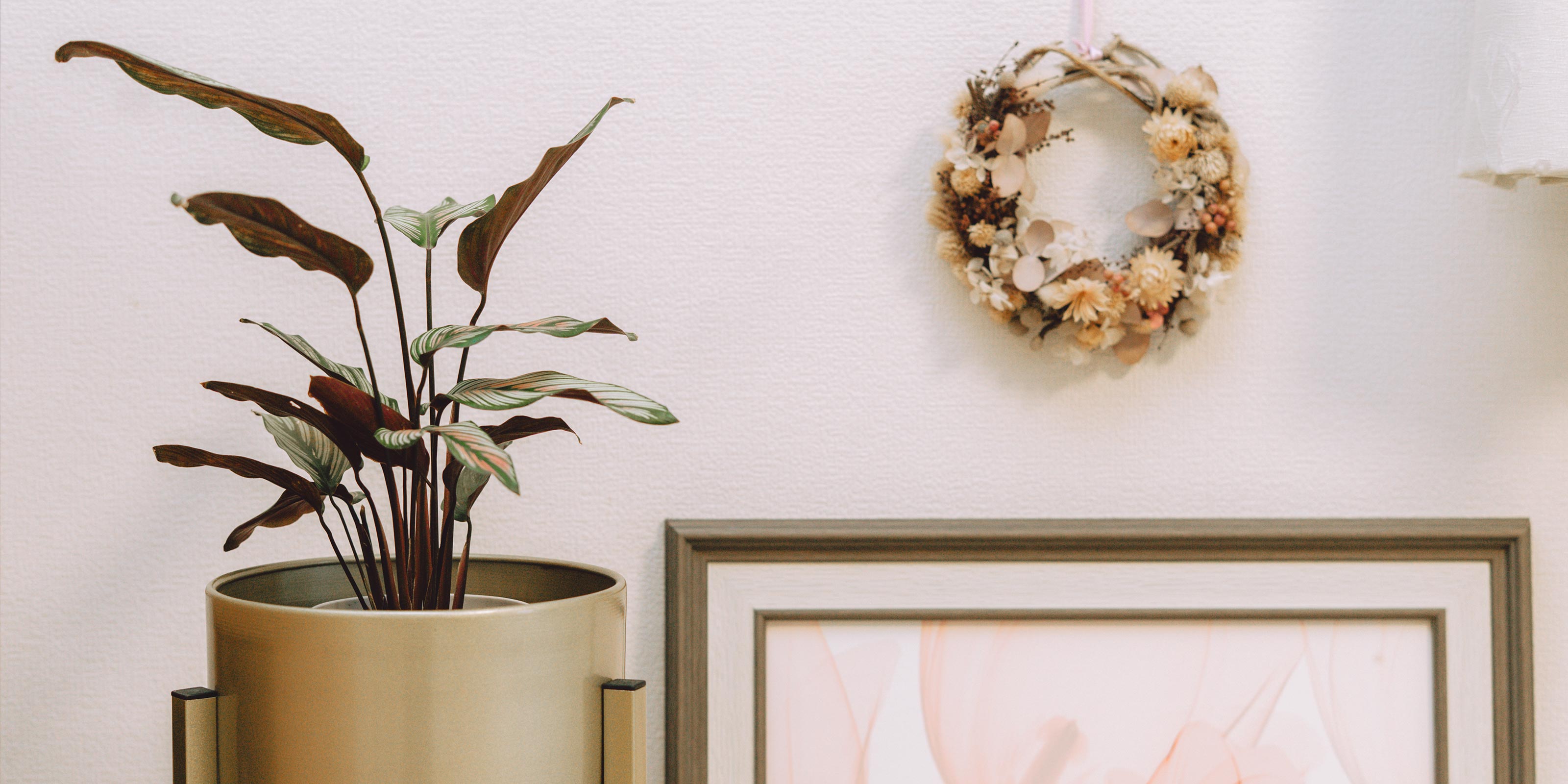 サービス案内 - koto