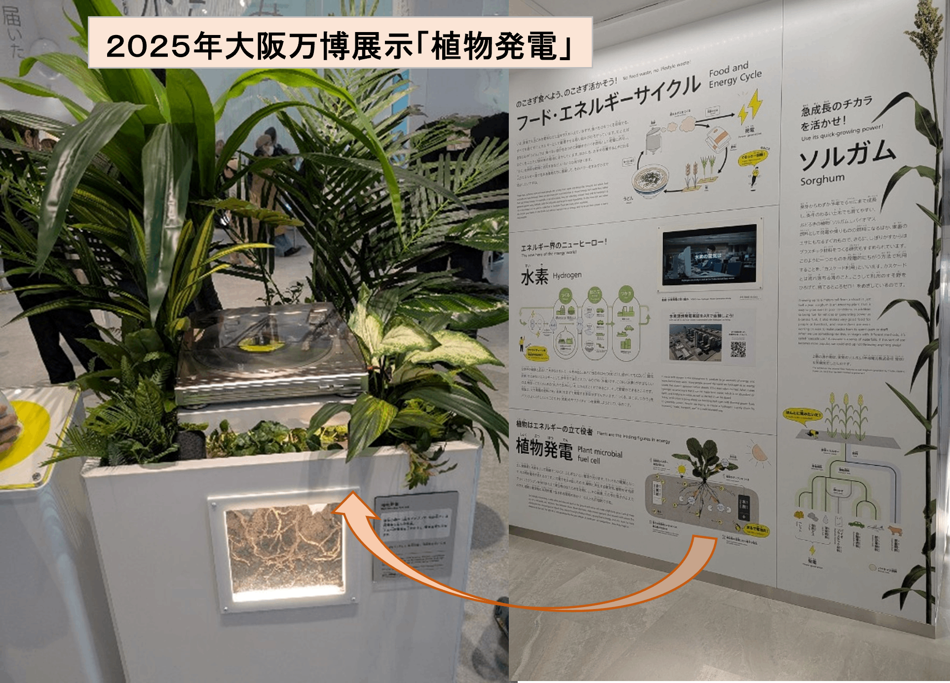 特許出願等知財関連業務 - 水野国際特許商標事務所