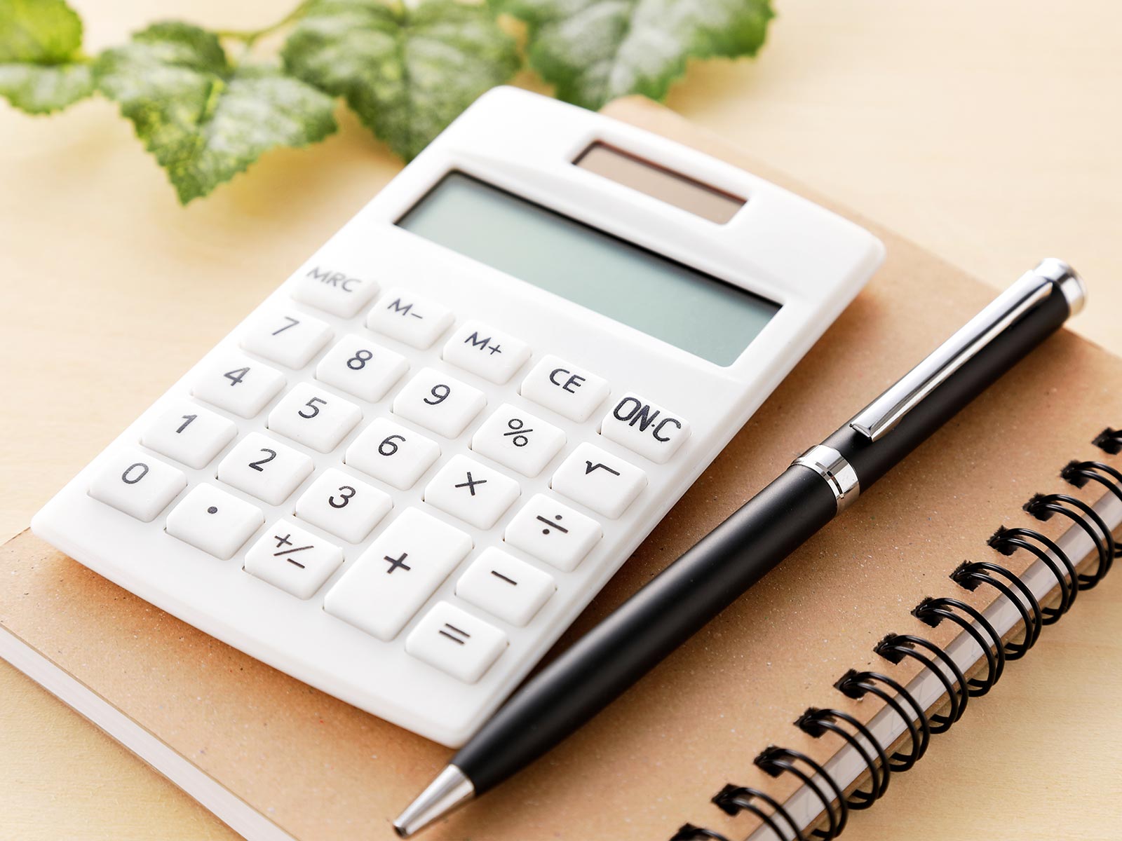 信仰のコミュニティ参加 - 佛立本旨講妙應寺