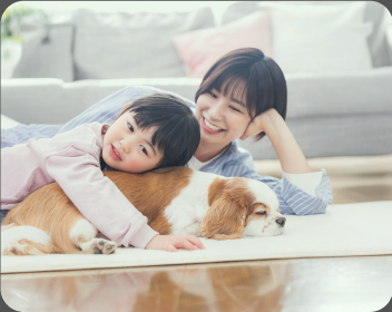 A Typeサンプル - テスト-JPテーマ確認用