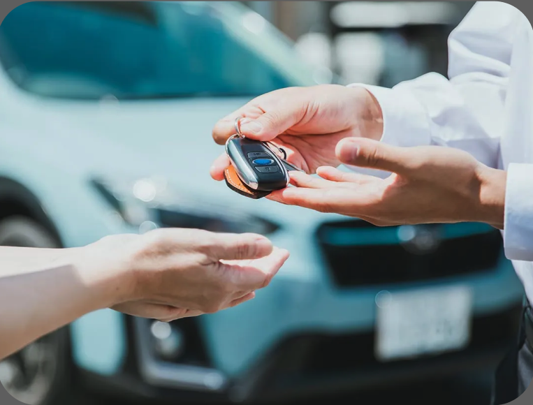 C typeサンプル - テスト-JPテーマ確認用