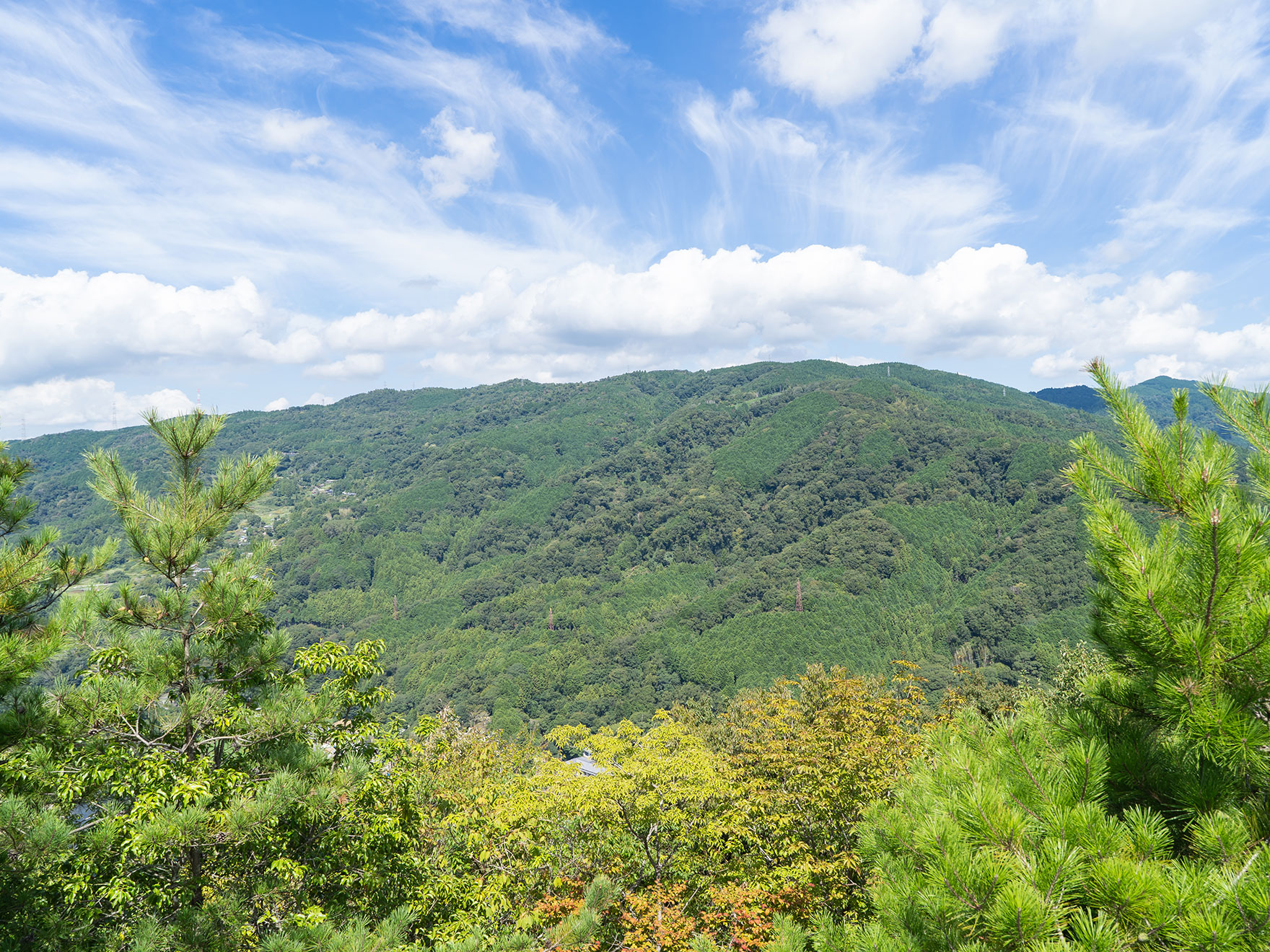 功徳山 妙照寺 - 妙照寺