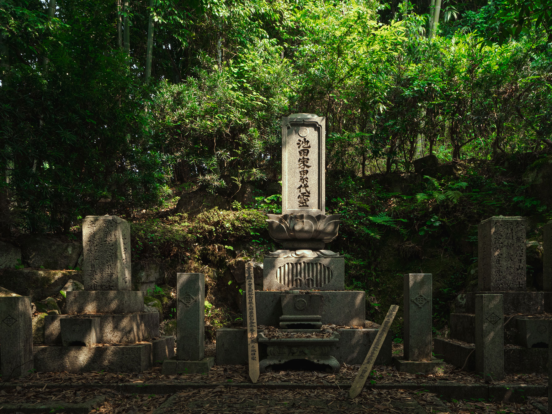 功徳山 妙照寺 - 妙照寺