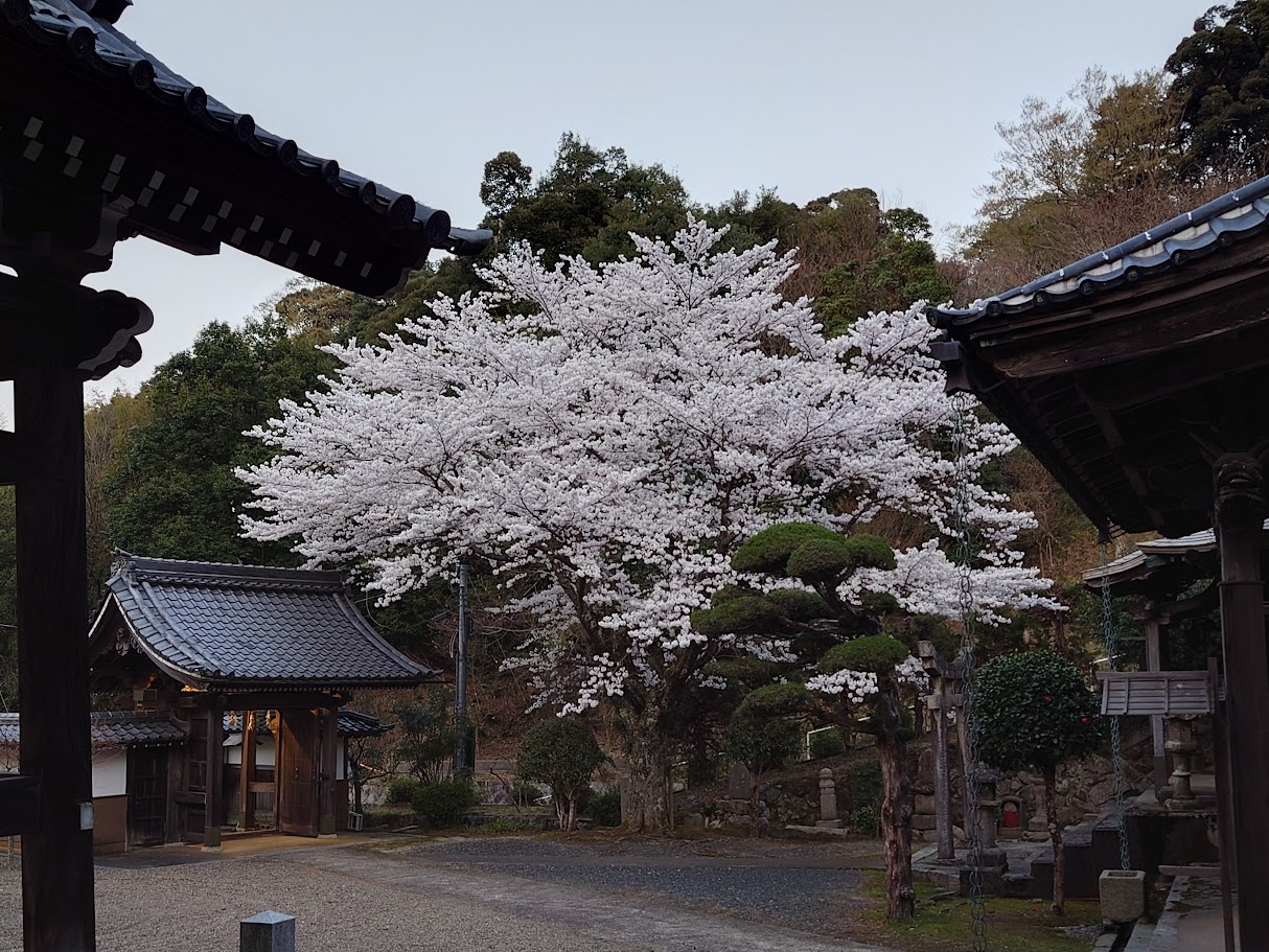 妙照寺の歴史 - 妙照寺