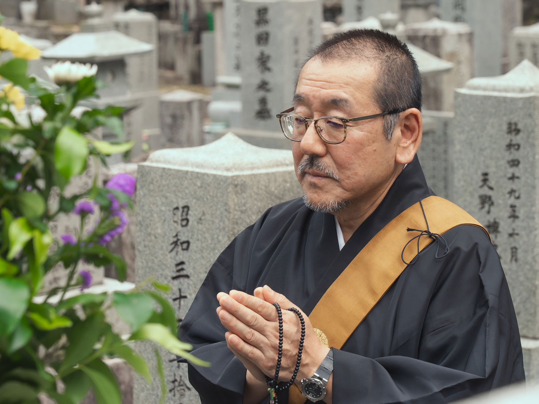 功徳山 妙照寺 - 妙照寺