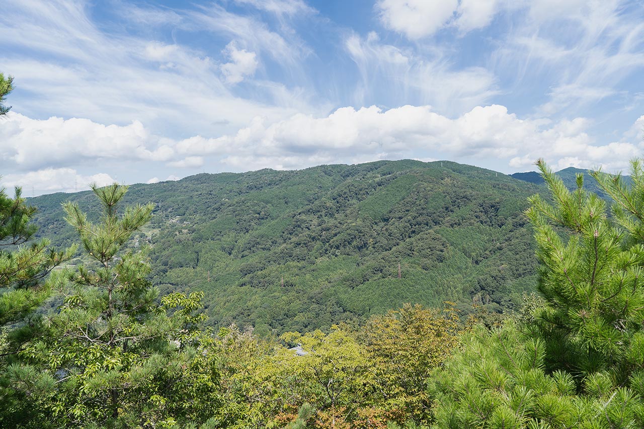 TOPページ - 妙照寺