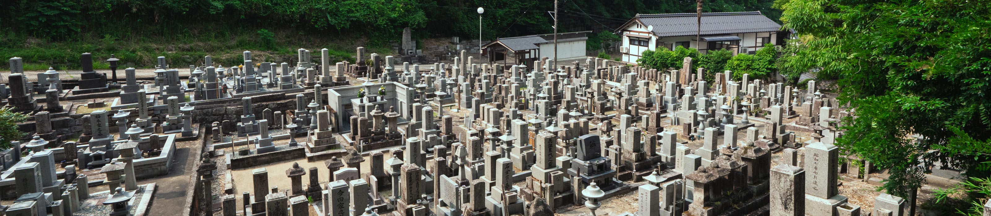 妙照寺の歴史 - 妙照寺