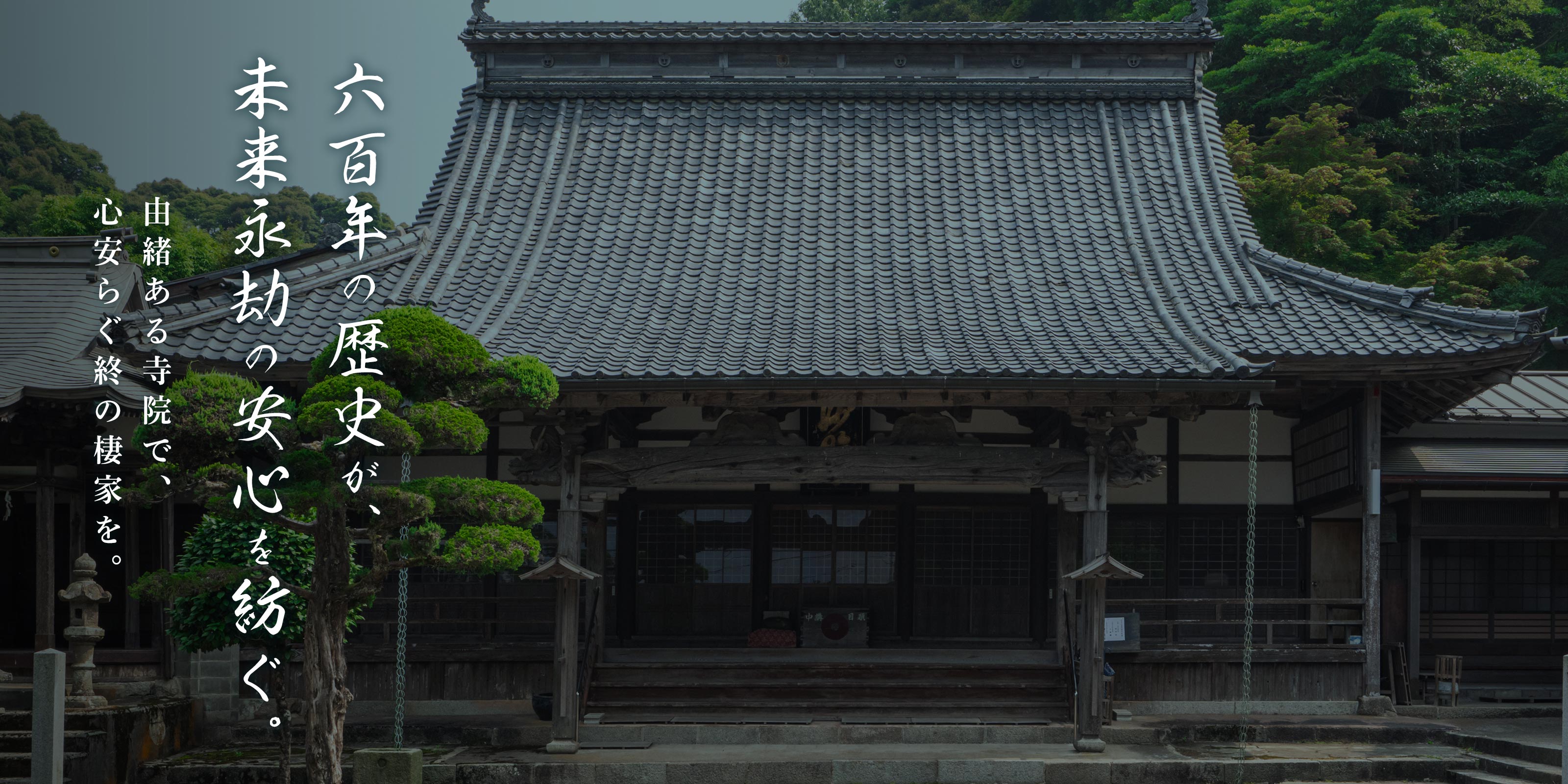 TOPページ - 妙照寺