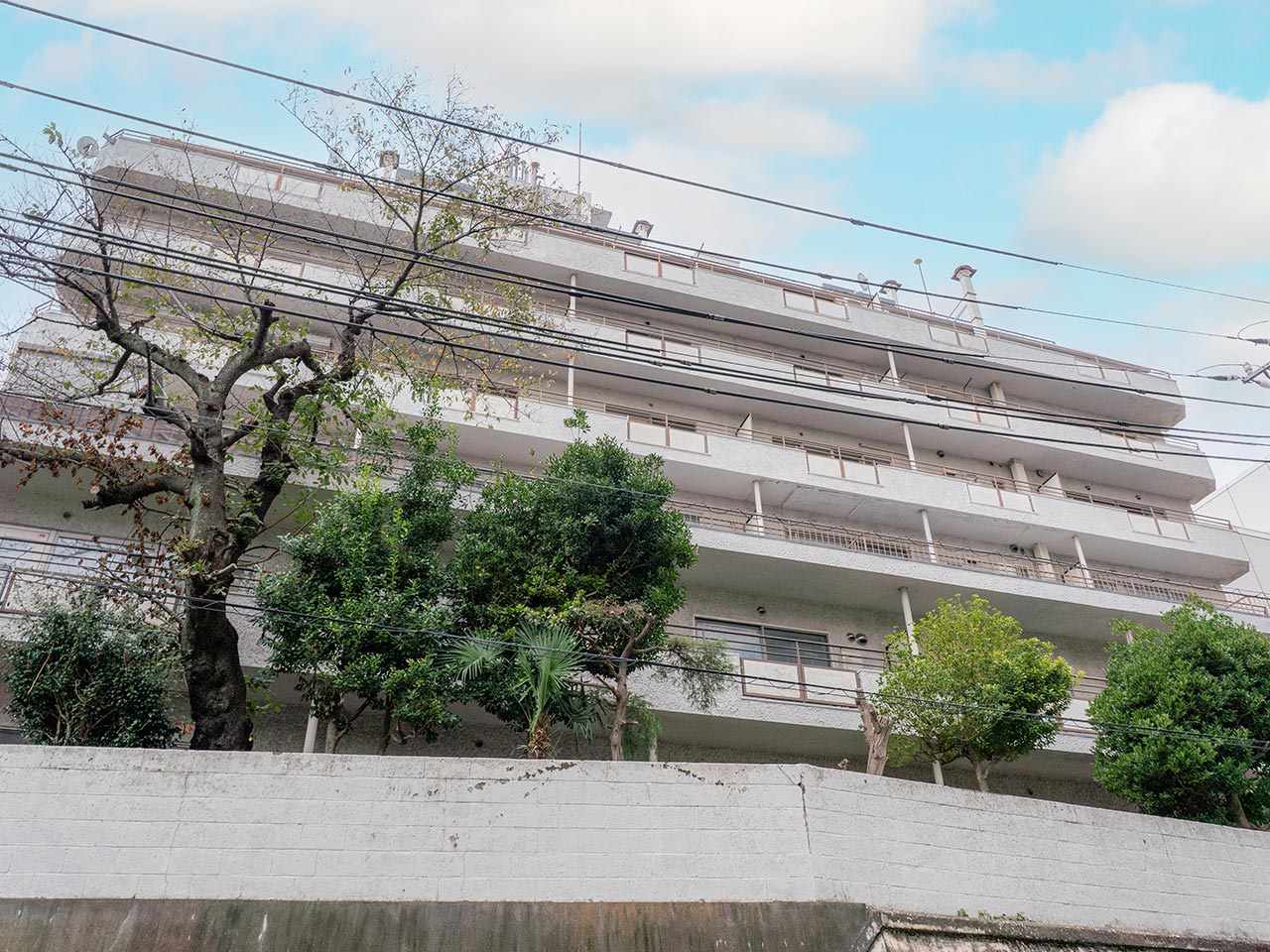 不動産売買 - 大心アシスト株式会社