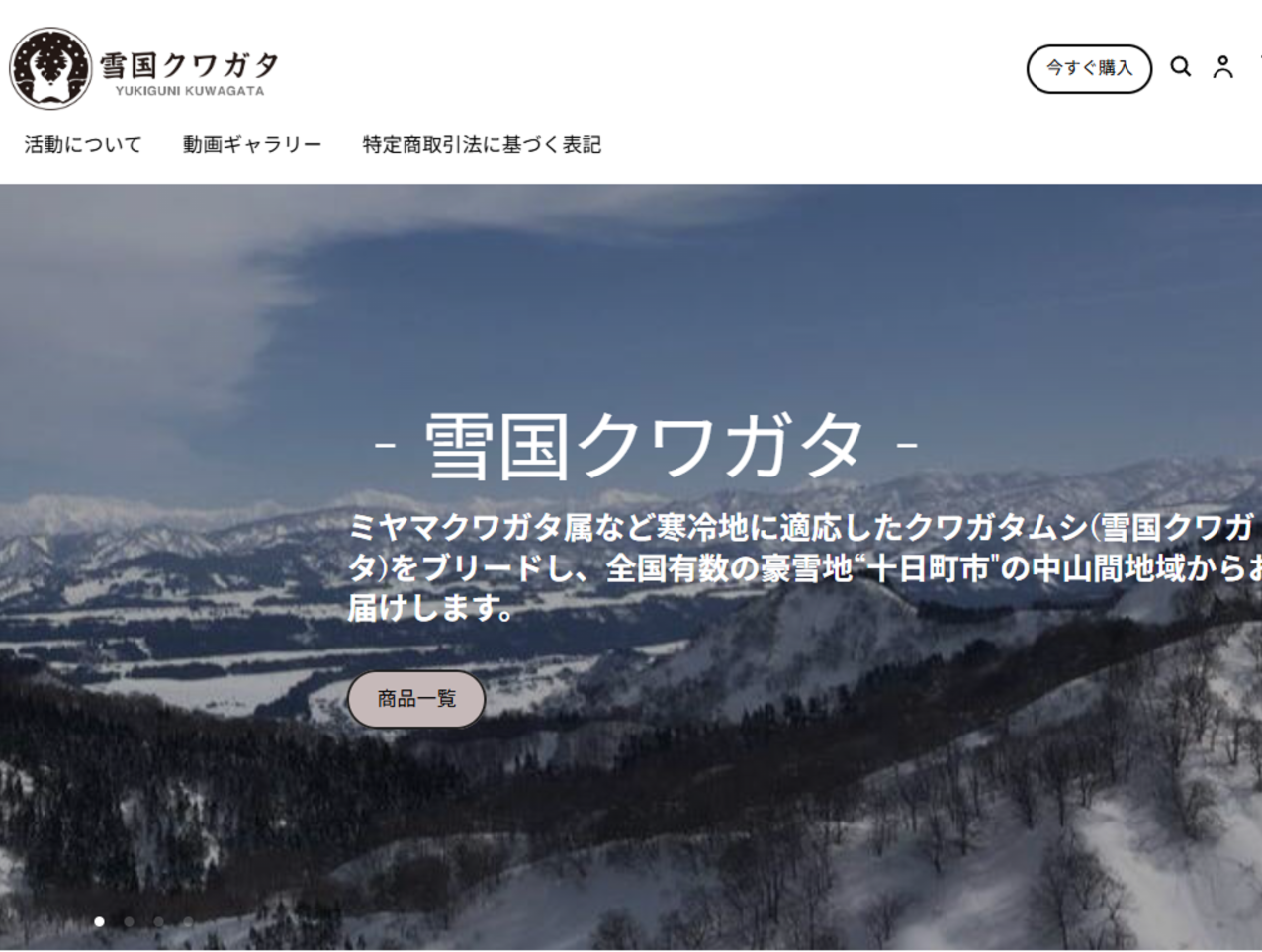 Webサイト制作 - ふじしまやどっとこむ