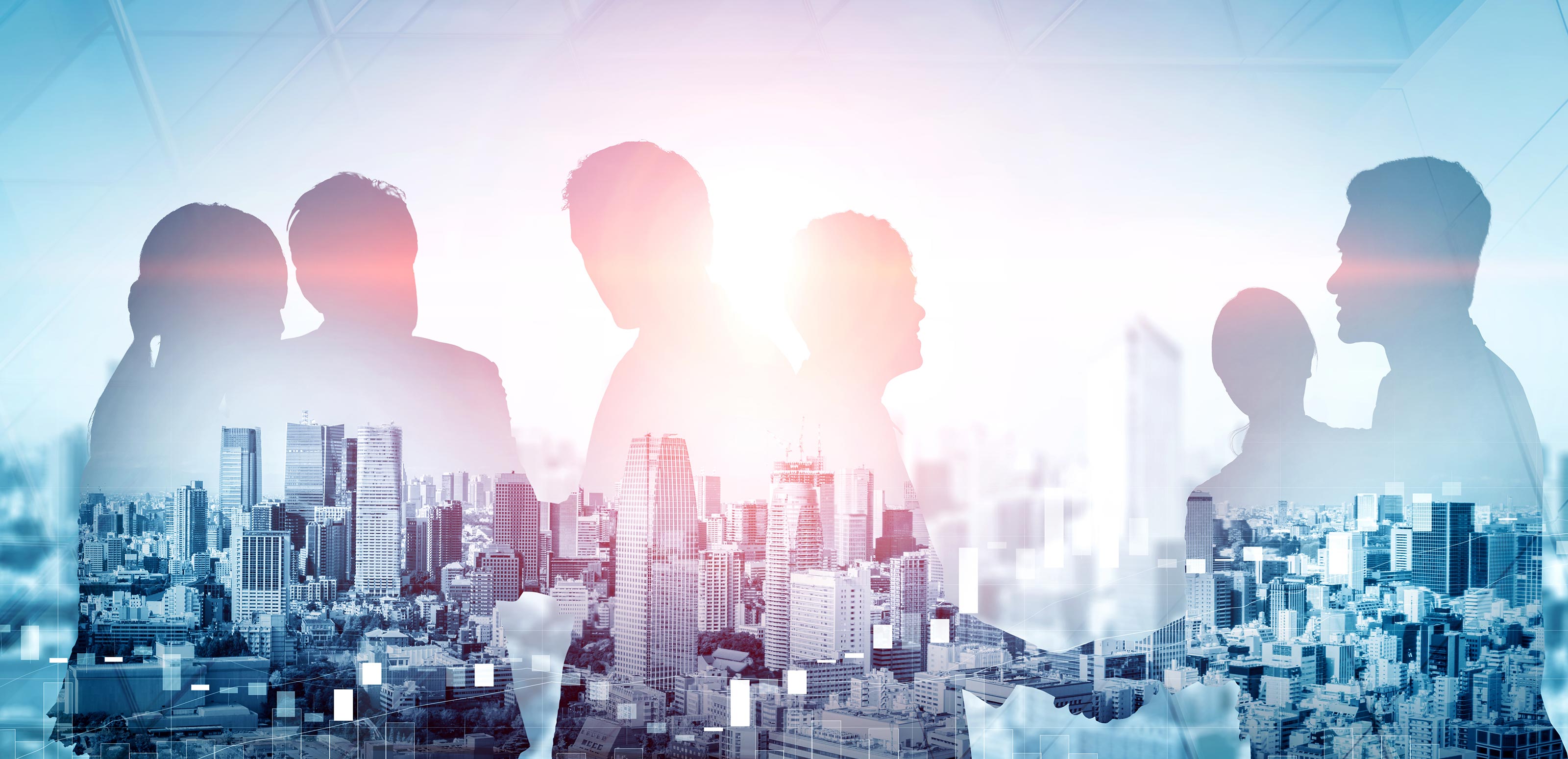 MISSION  - エマージングジャパン合同会社