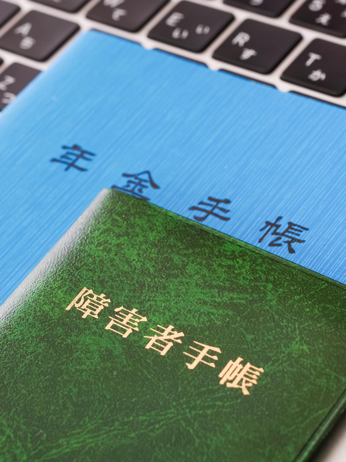 障害年金請求代行サービス - ひつじ社労士事務所