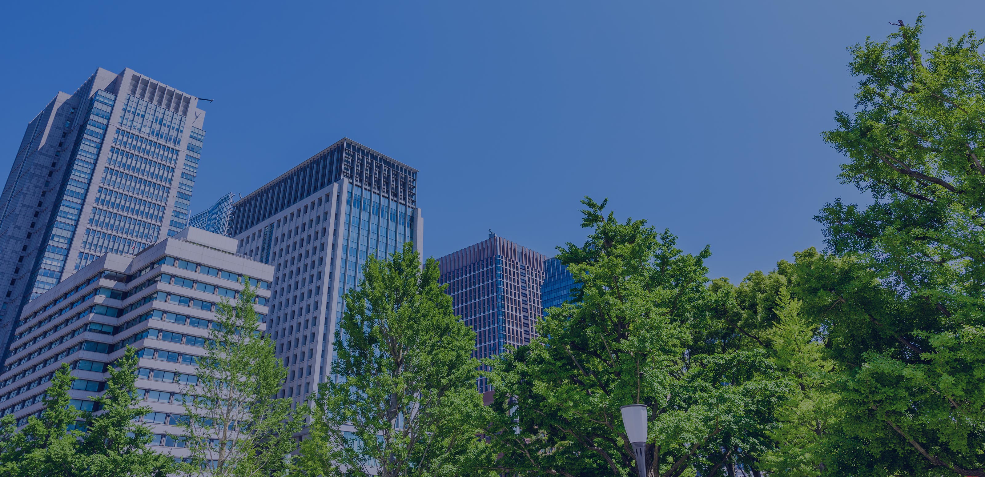 経営支援 - CoAlign