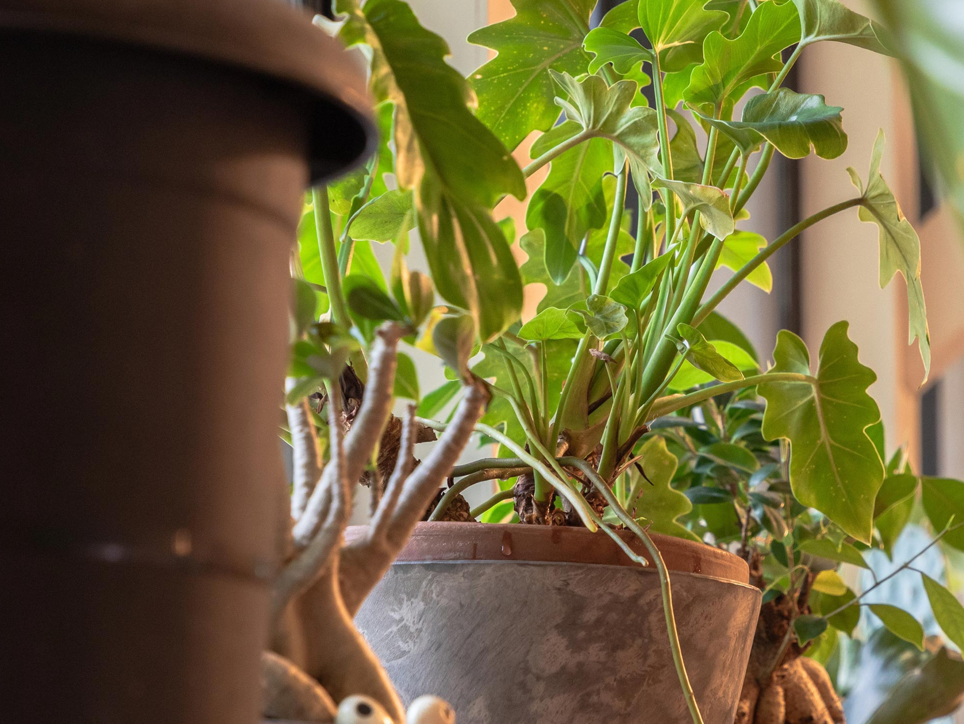 薪ストーブ - 株式会社Rustic Craft