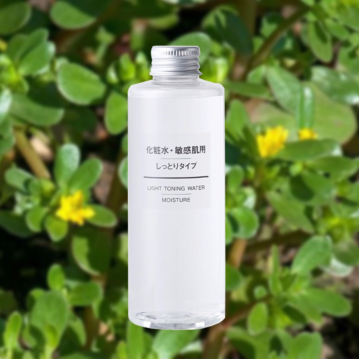 Fast-#6 - テスト-VNテーマ確認用