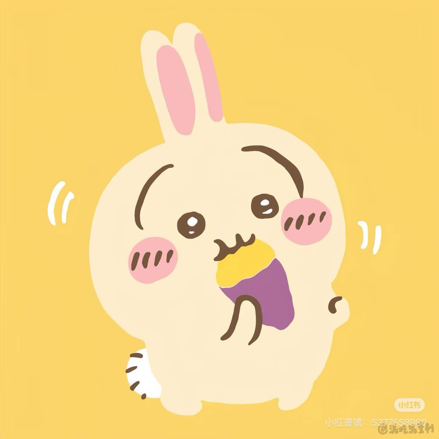 Visualizer - テスト-VNテーマ確認用