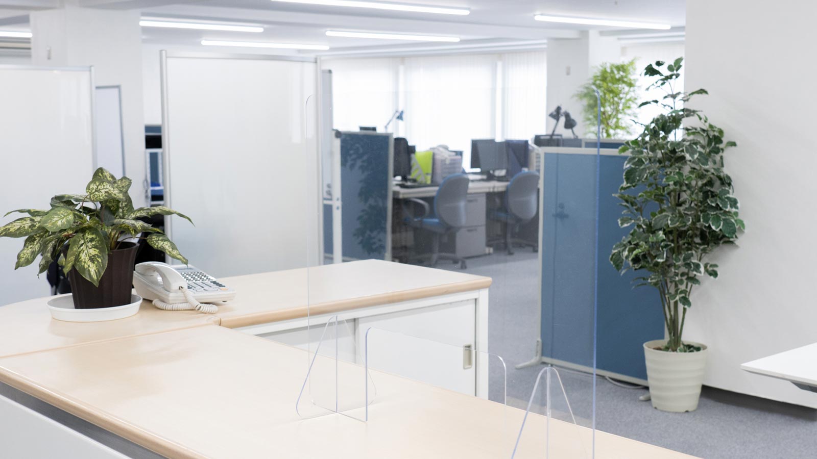 事業活動 - 創造みらいＦＰ研究所