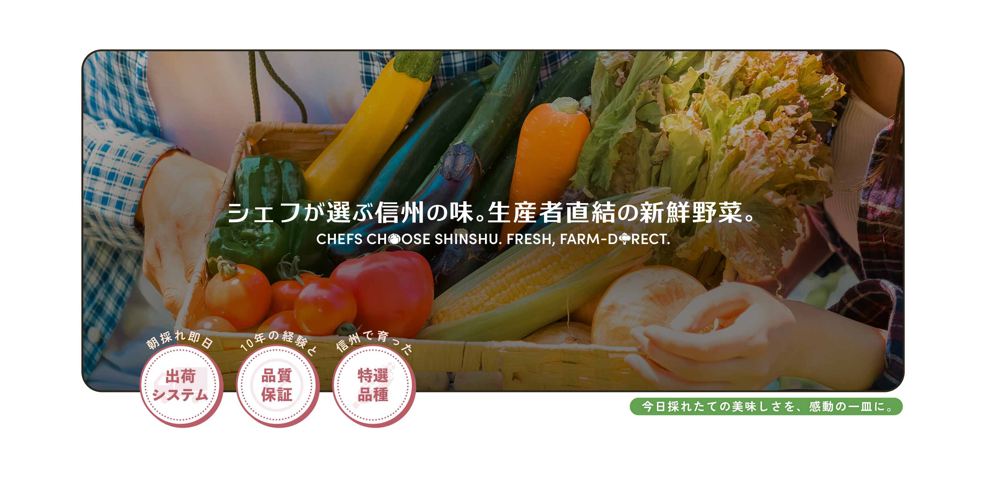 生鮮野菜 - 河野総業