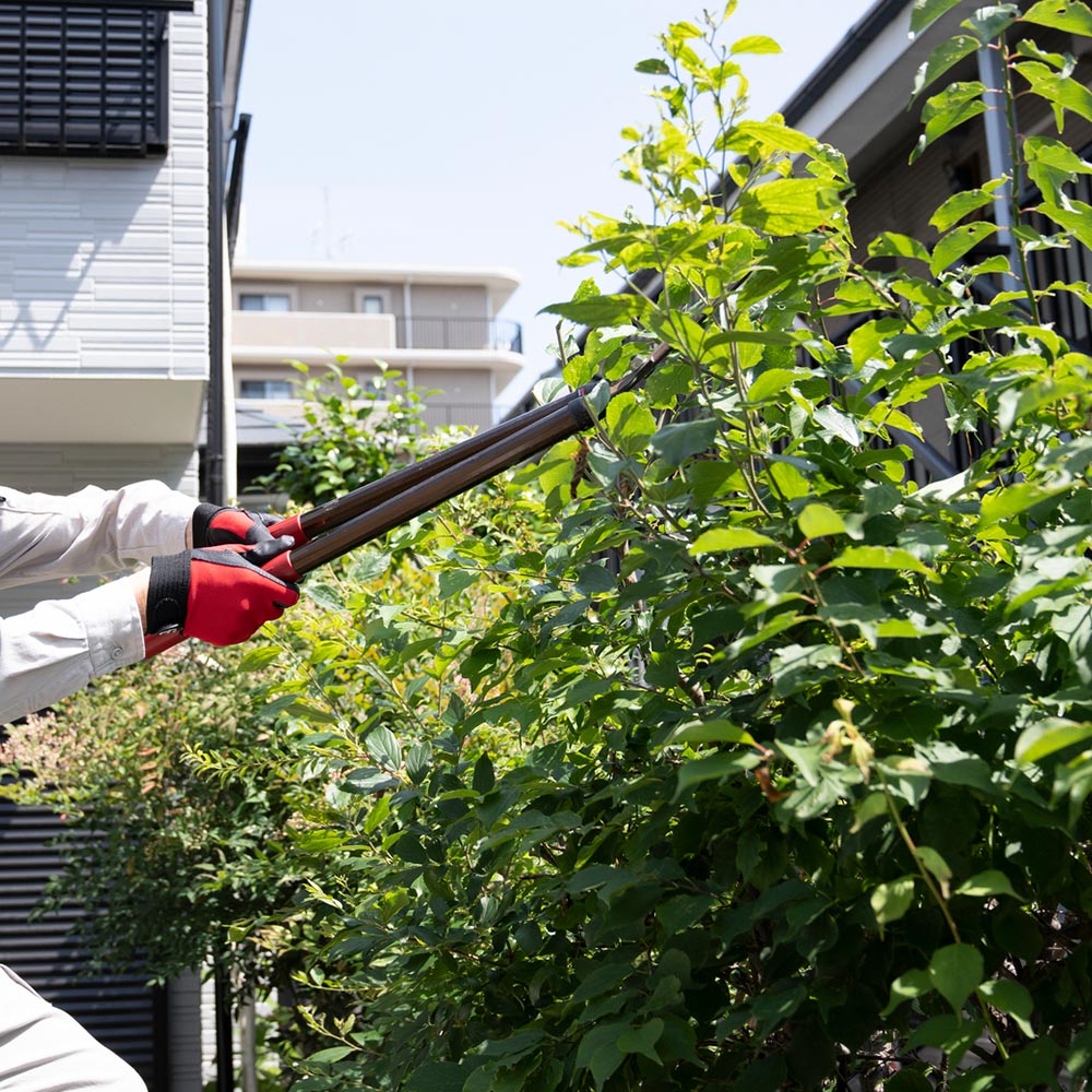 造園工事・外構工事 - 庭和