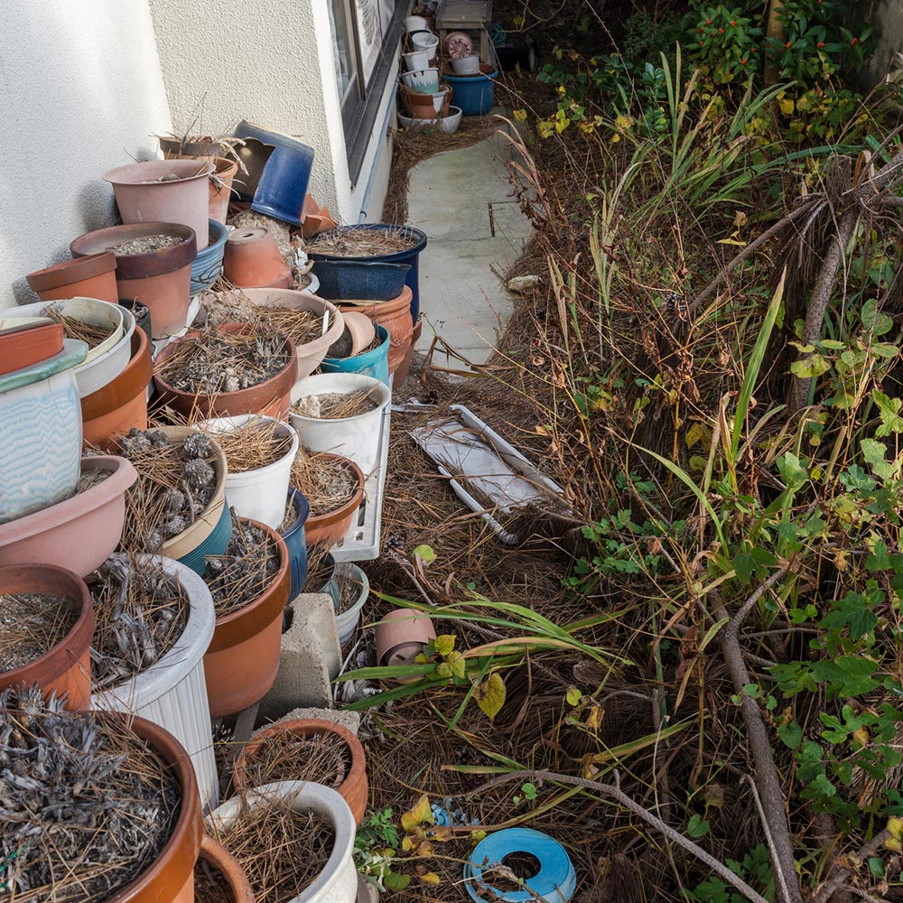 造園工事・外構工事 - 庭和