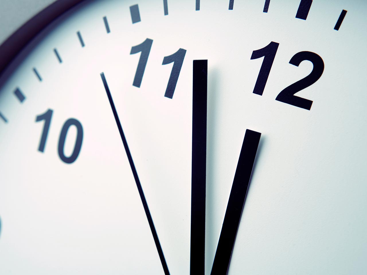 造園工事・外構工事 - 庭和