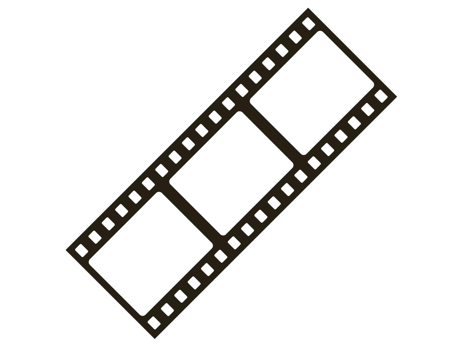 法人撮影 - PhotoGARDEN YU