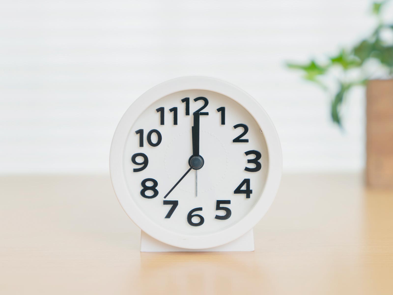 TOP - PhotoGARDEN YU