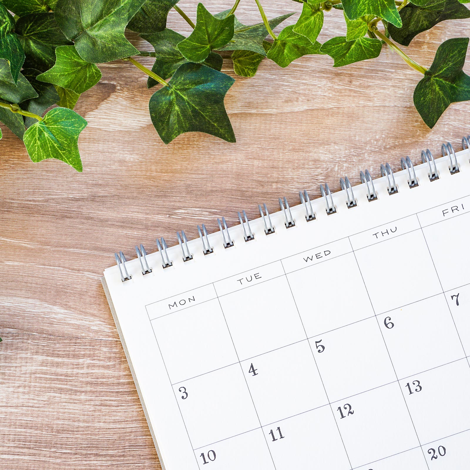 法人でご依頼 - PhotoGARDEN YU