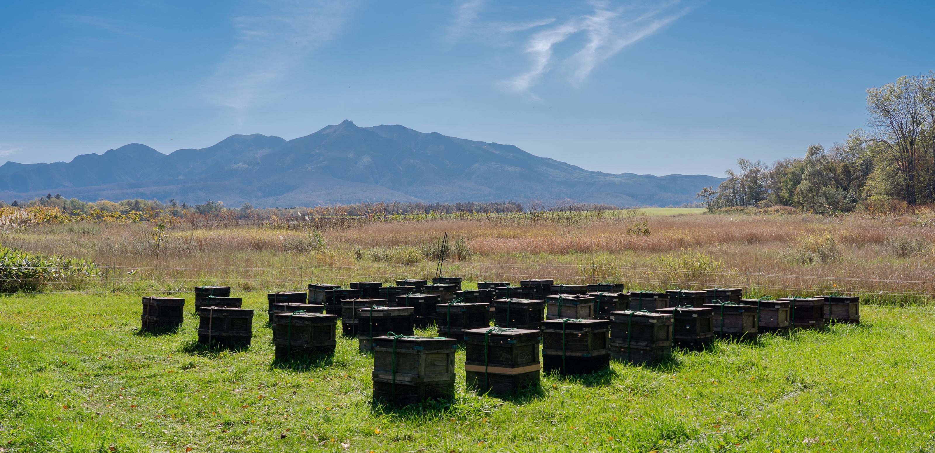 完全看護出張サービス - SA・KU・RA