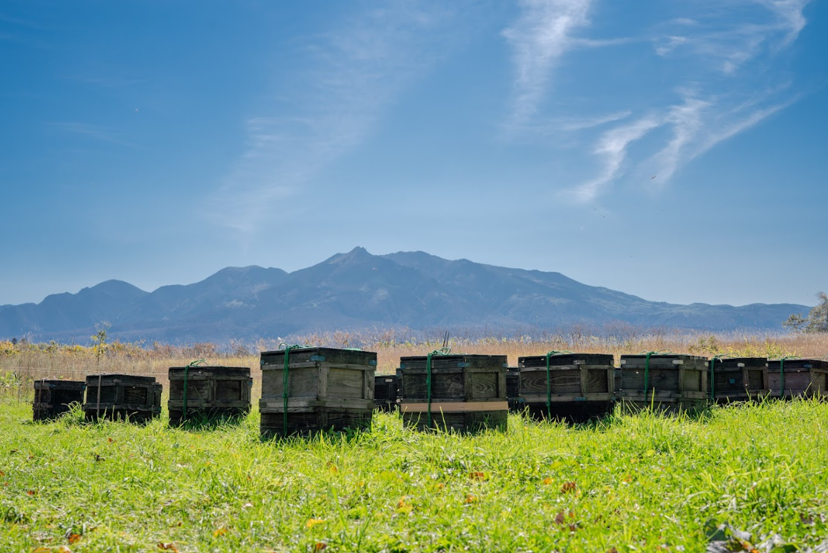 完全看護出張サービス - SA・KU・RA