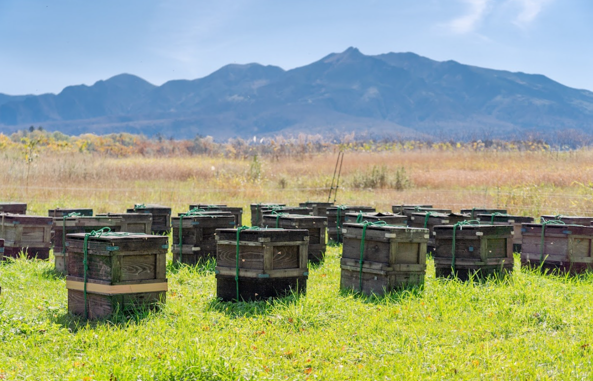 完全看護出張サービス - SA・KU・RA