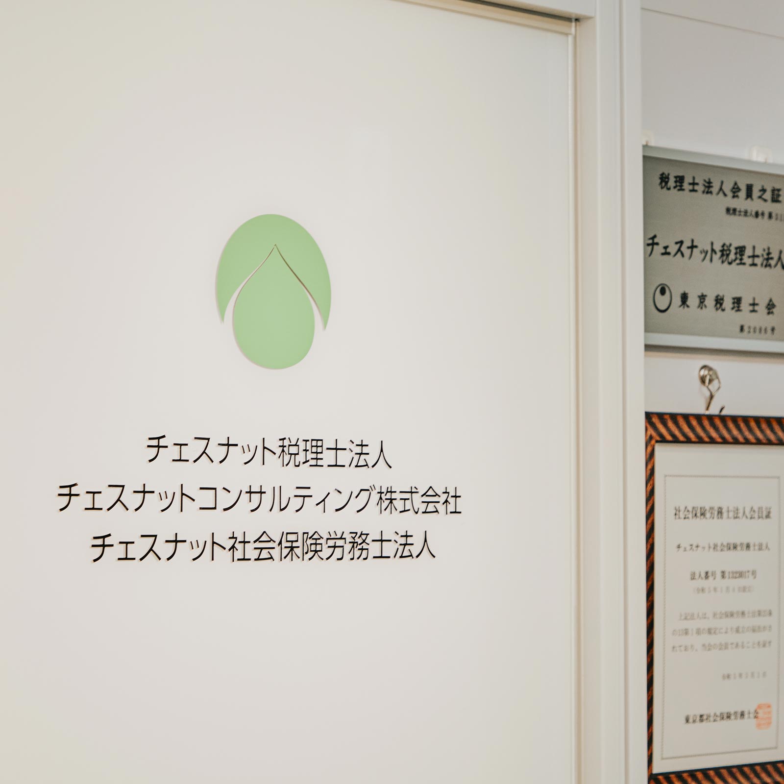 相続事業 - チェスナット税理士法人