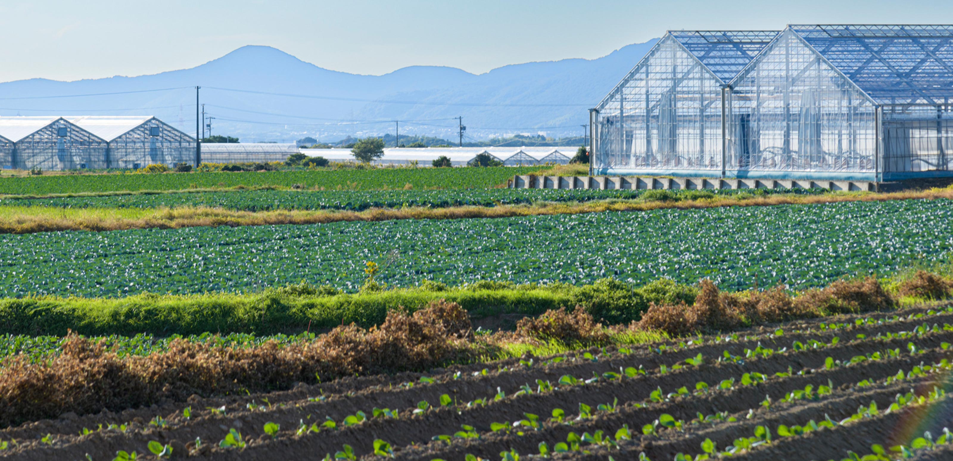 農地転用許可申請 - 行政書士たなか事務所