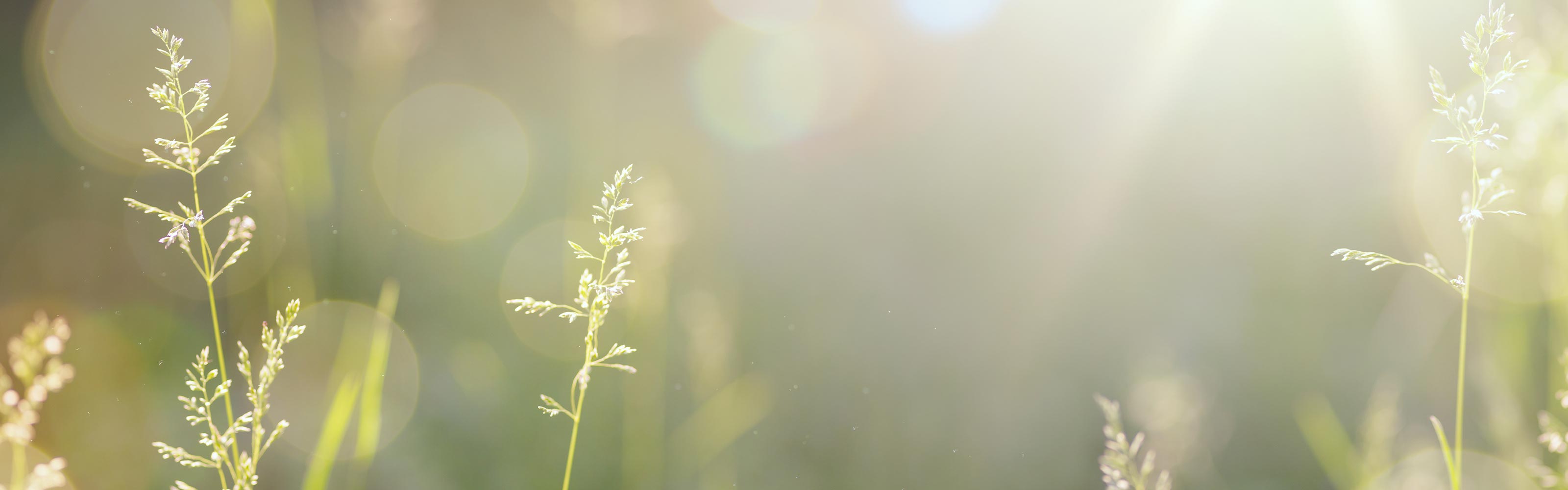 リンパケア - リンパケア・腸活サロン　杏