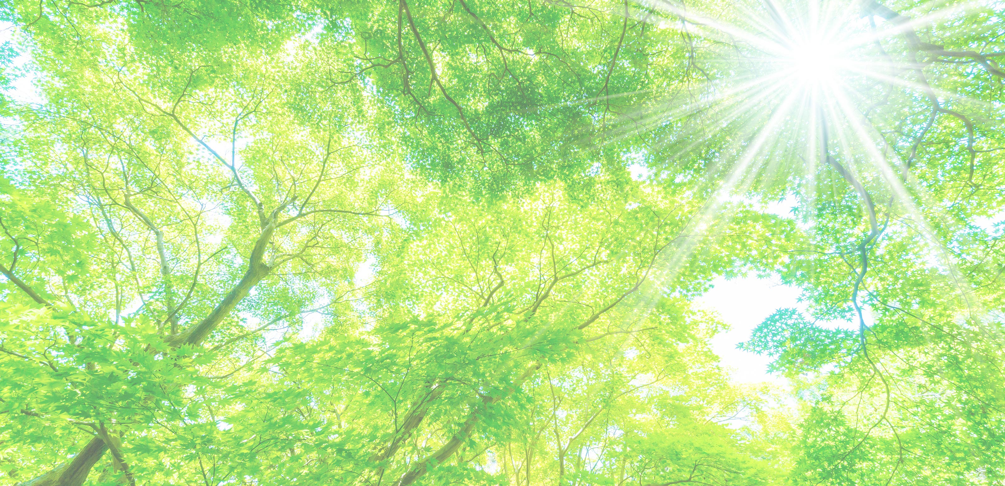 健康相談 - 面田　成