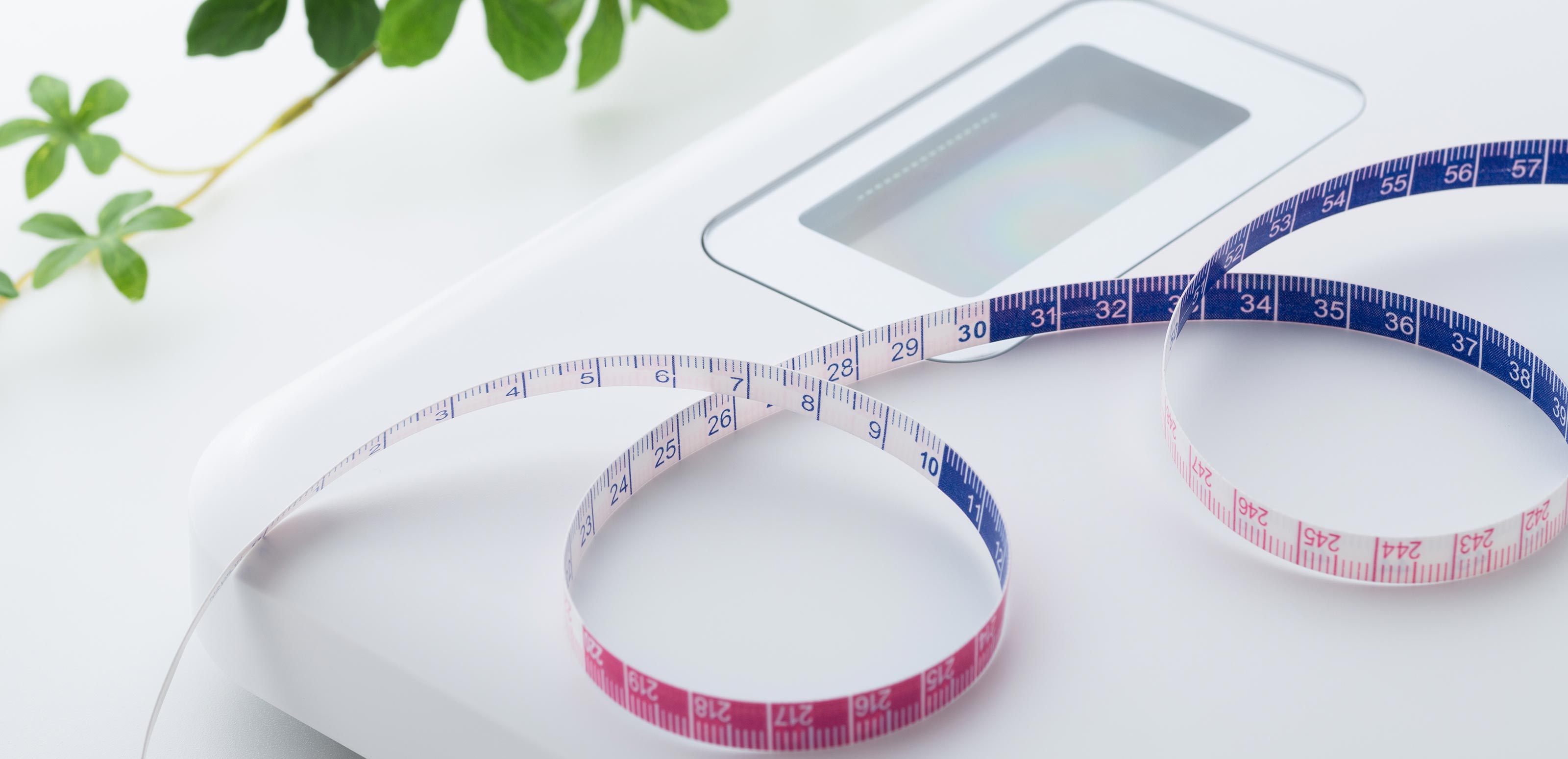 健康相談 - 面田　成