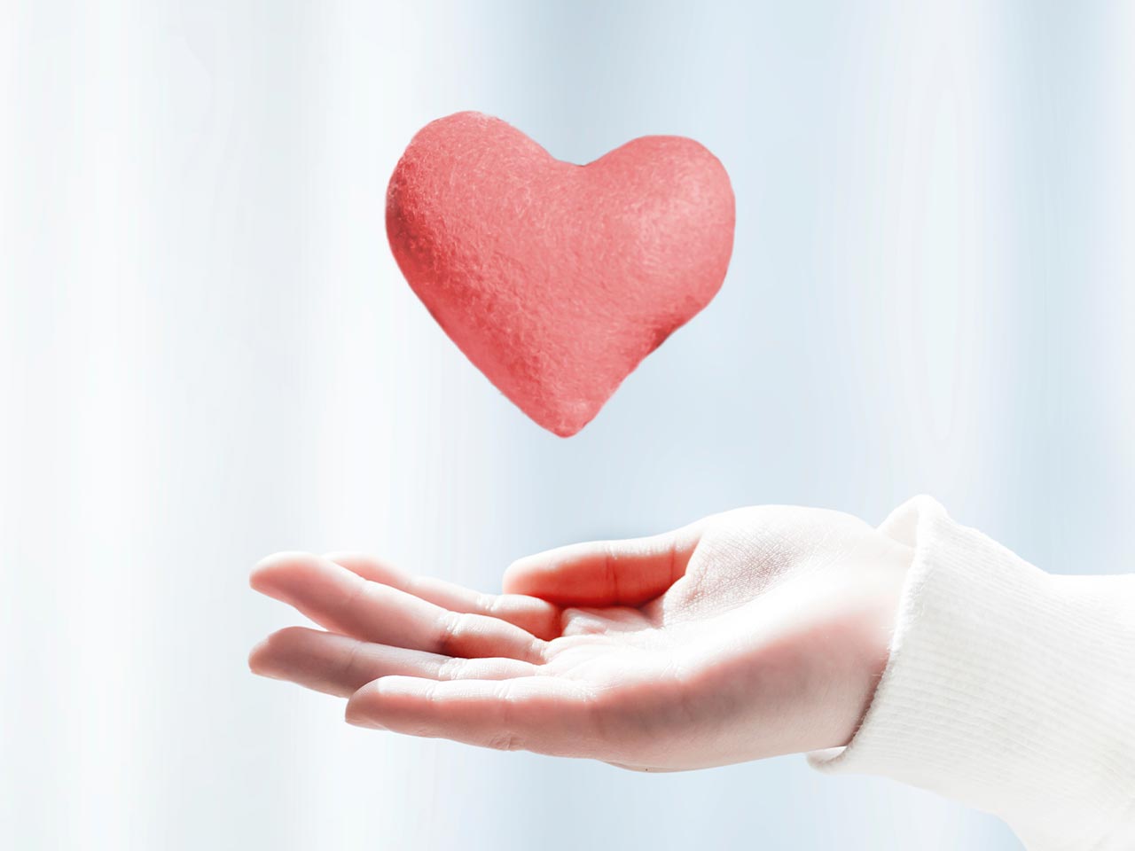 片付け本舗 - 株式会社ビーライフサービス