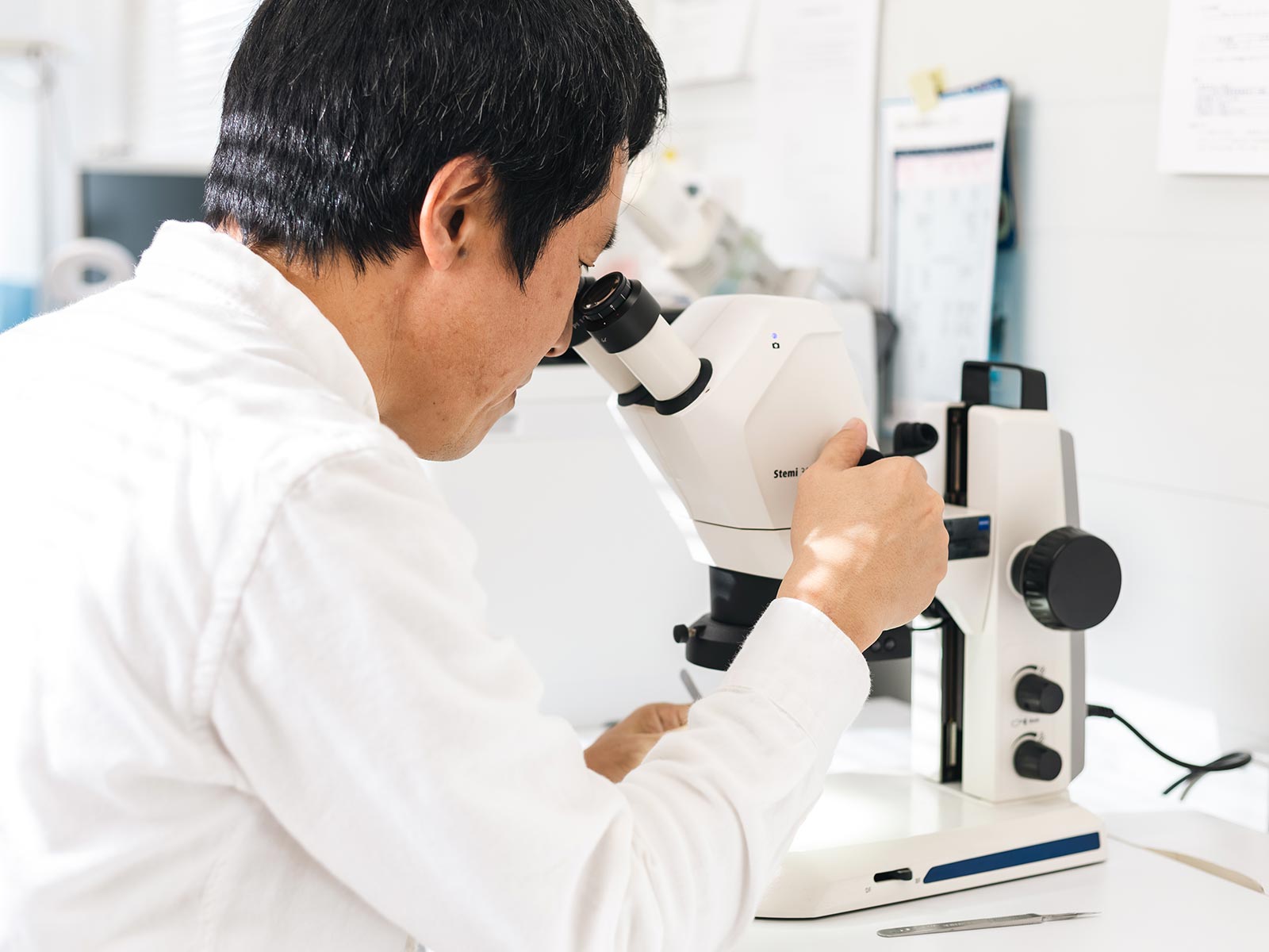 熱履歴検査について - 合同会社Fine Science Laboratory