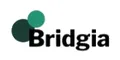 Bridgia合同会社