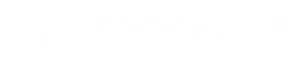 有限会社メディア プラン レック
